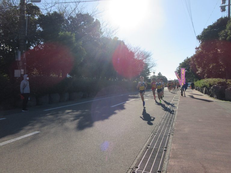 日本 鳩 レース 協会 レース 結果